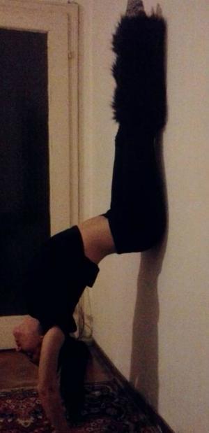 Escorts like Victoria are down to fuck you now!